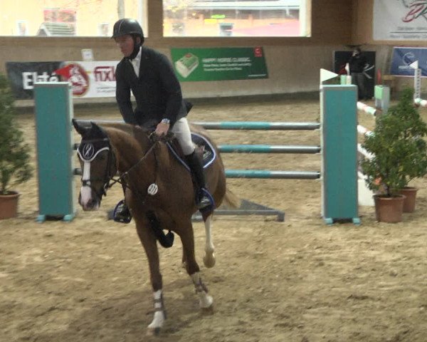 Reitturnier Gut Winkelacker/Obb. 2020