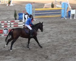 broodmare Conkira (Hanoverian, 2007, from Contender)