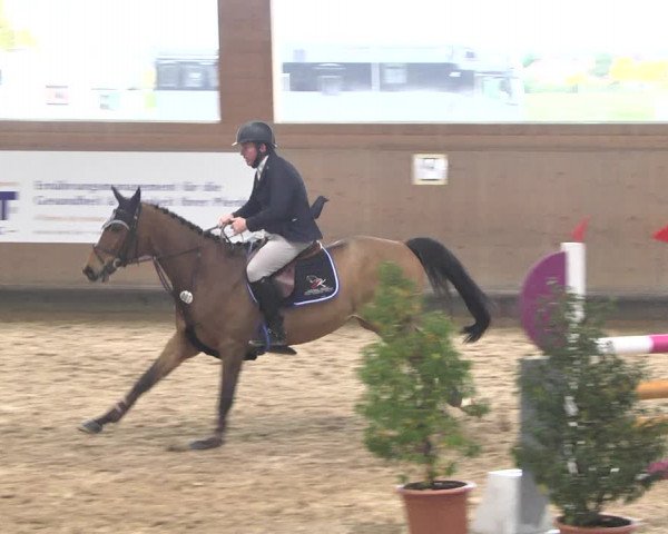 Reitturnier Gut Winkelacker/Obb. 2020