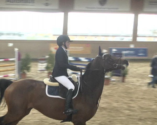 Reitturnier Gut Winkelacker/Obb. 2020