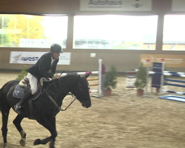 Reitturnier Gut Winkelacker/Obb. 2020