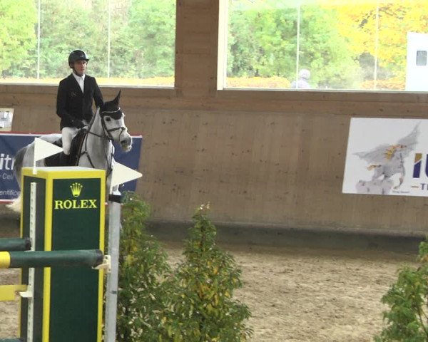 Reitturnier Gut Winkelacker/Obb. 2020