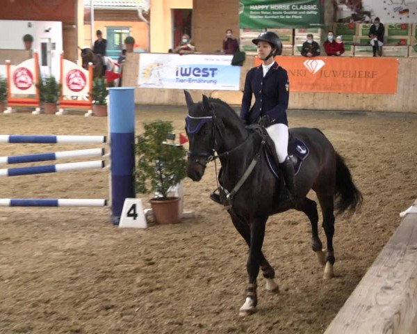 Reitturnier Gut Winkelacker/Obb. 2020
