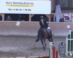 jumper Da Vinci 215 (Hanoverian, 2005, from Dauphin)