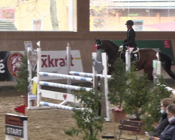 Reitturnier Gut Winkelacker/Obb. 2020