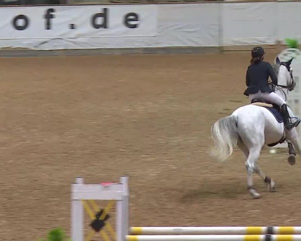 Reitturnier Kreuth/Opf. 2020