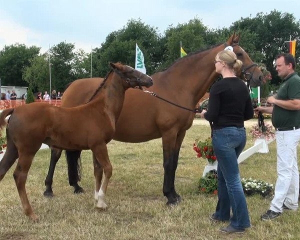 broodmare Antonia (Rhinelander, 2013, from Alvarino 2)