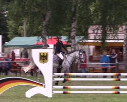 jumper Smilla 81 (Hanoverian, 2006, from Stolzenberg)