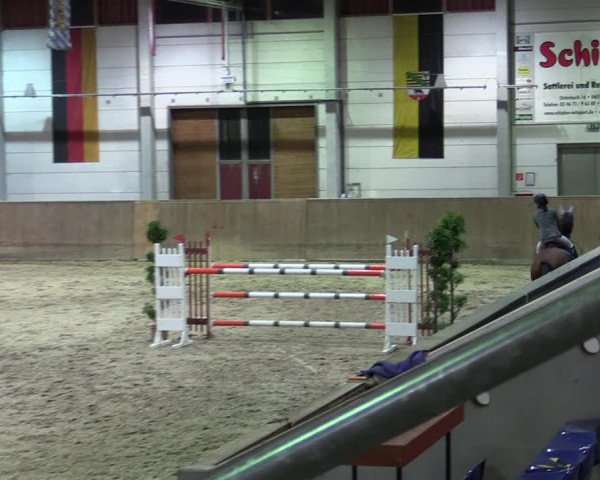 Reitturnier Prussendorf 2020