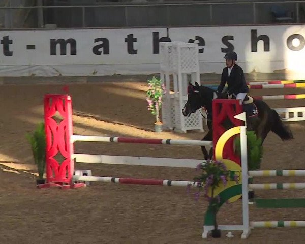 Reitturnier Kreuth/Opf. 2020