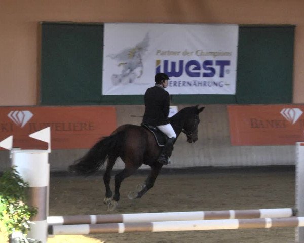 Reitturnier Gut Winkelacker/Obb. 2020