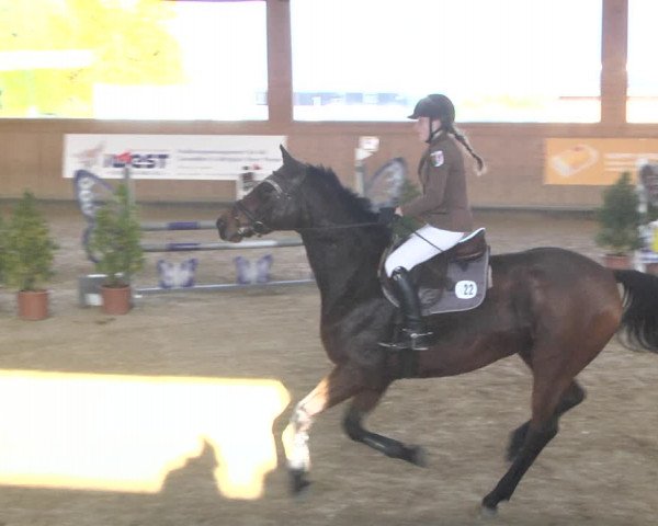 Reitturnier Gut Winkelacker/Obb. 2020