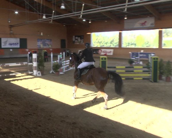 Reitturnier Gut Winkelacker/Obb. 2020