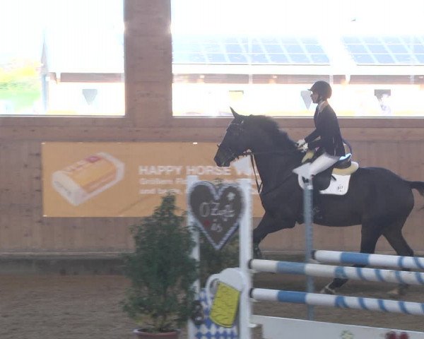 Reitturnier Gut Winkelacker/Obb. 2020