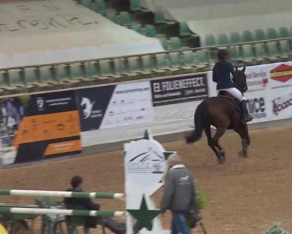 Reitturnier Kreuth/Opf. 2020