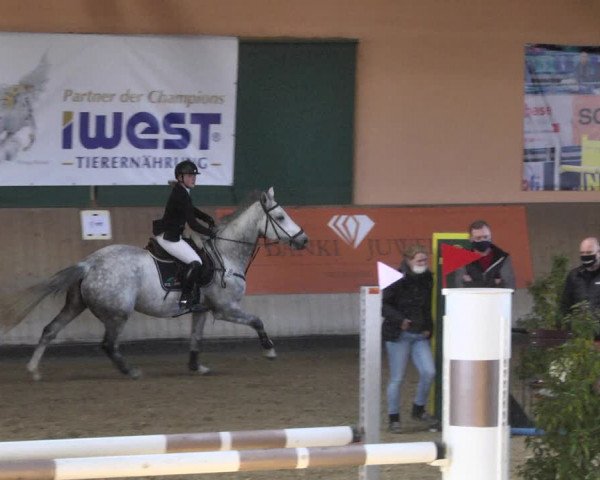 Reitturnier Gut Winkelacker/Obb. 2020