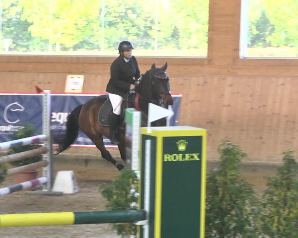 Reitturnier Gut Winkelacker/Obb. 2020