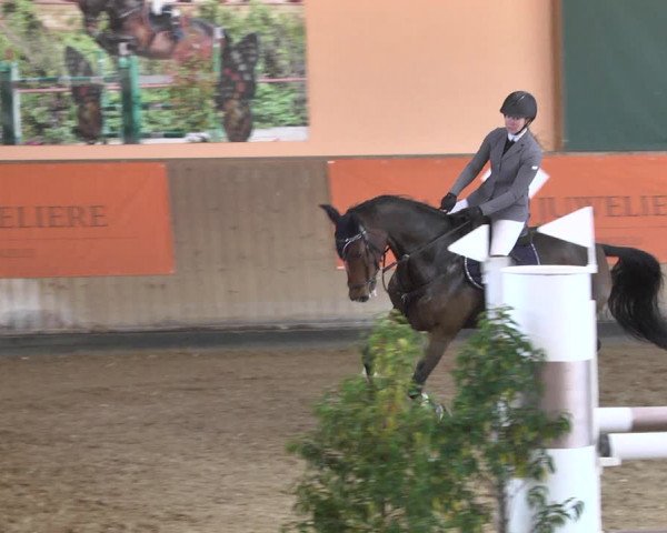 Reitturnier Gut Winkelacker/Obb. 2020
