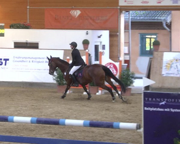 Reitturnier Gut Winkelacker/Obb. 2020