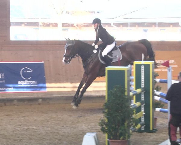 Reitturnier Gut Winkelacker/Obb. 2020