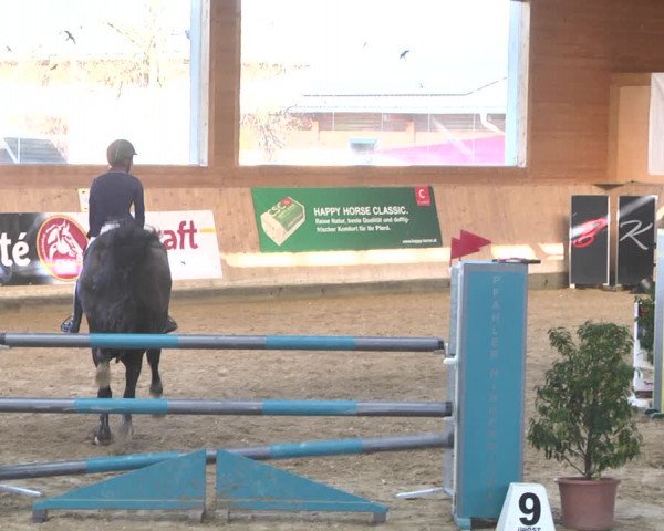 Reitturnier Gut Winkelacker/Obb. 2020
