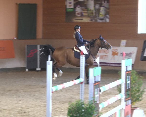 Reitturnier Gut Winkelacker/Obb. 2020