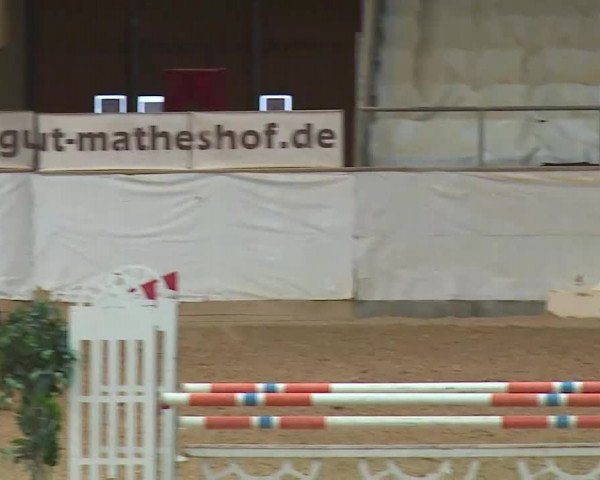 Reitturnier Kreuth/Opf. 2020