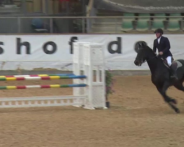 Reitturnier Kreuth/Opf. 2020