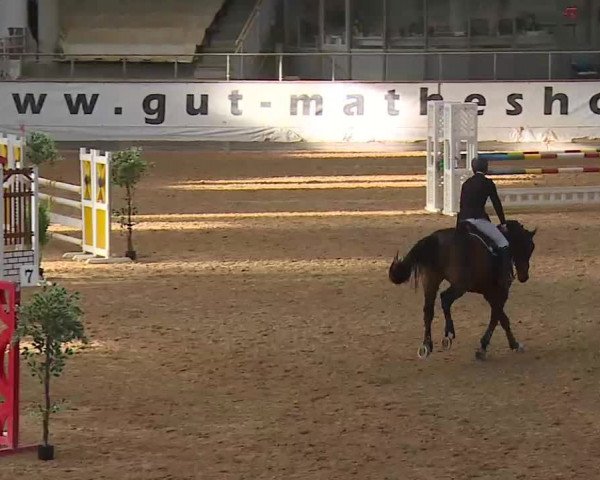Reitturnier Kreuth/Opf. 2020