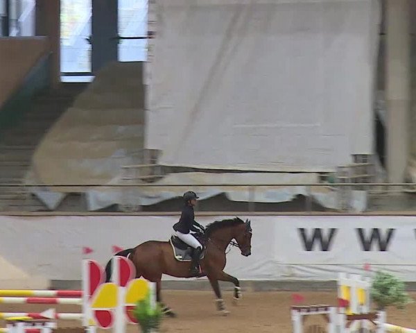Reitturnier Kreuth/Opf. 2020