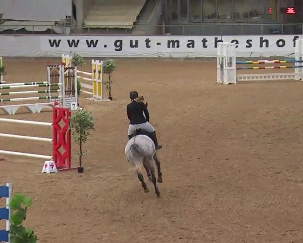 Reitturnier Kreuth/Opf. 2020