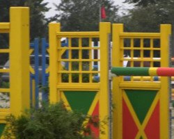 jumper Finnley (Westphalian, 2009, from Fürst Piccolo)
