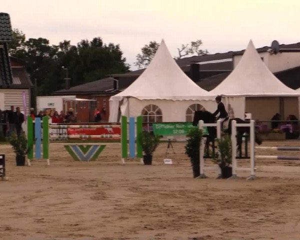 jumper Gracie Heart (Oldenburg, 2008, from Gracieux)