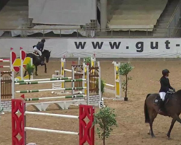 Reitturnier Kreuth/Opf. 2020