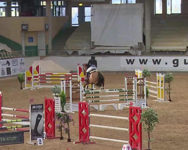 Reitturnier Kreuth/Opf. 2020
