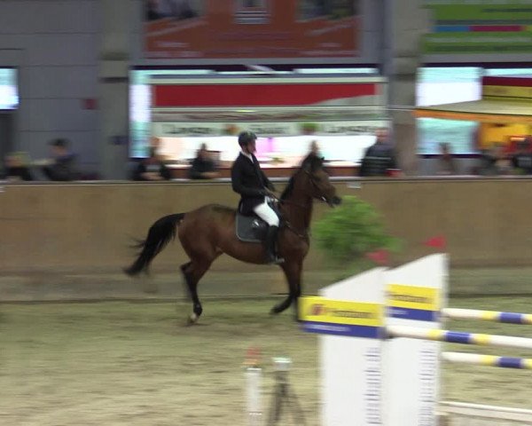 Reitturnier Prussendorf 2020