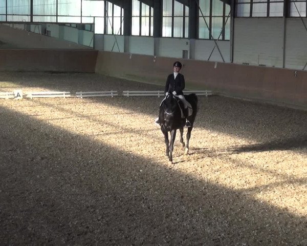 Reitturnier Leichlingen 2020