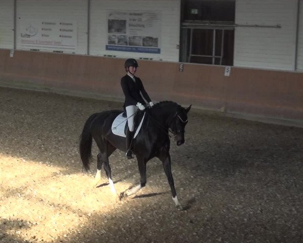 Reitturnier Leichlingen 2020