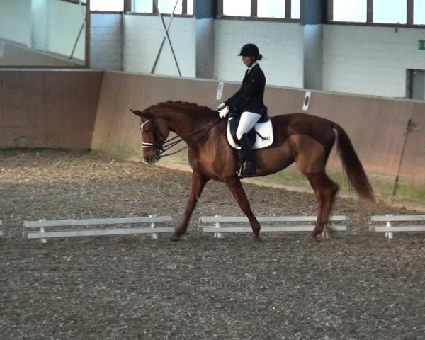 Reitturnier Leichlingen 2020
