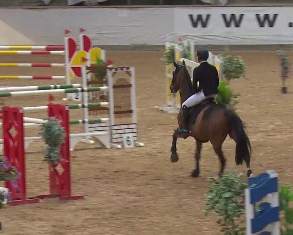 Reitturnier Kreuth/Opf. 2020