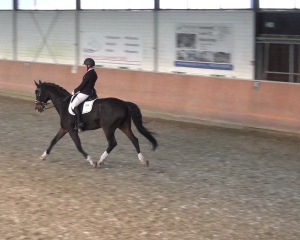 Reitturnier Leichlingen 2020