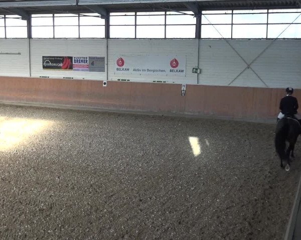 Reitturnier Leichlingen 2020