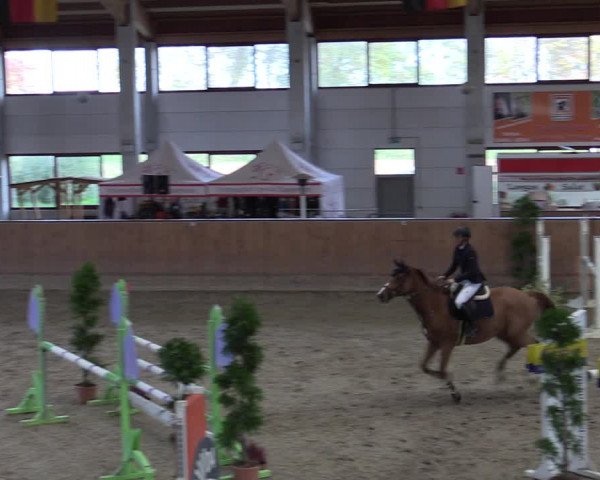 Reitturnier Prussendorf 2020