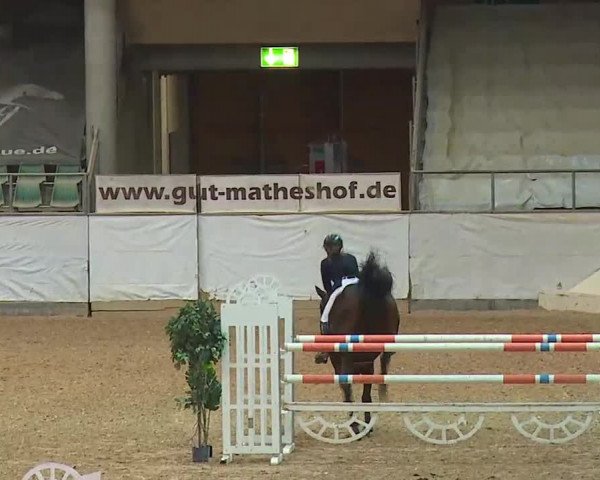 Reitturnier Kreuth/Opf. 2020