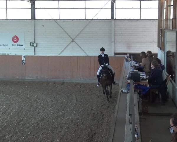 Reitturnier Leichlingen 2020