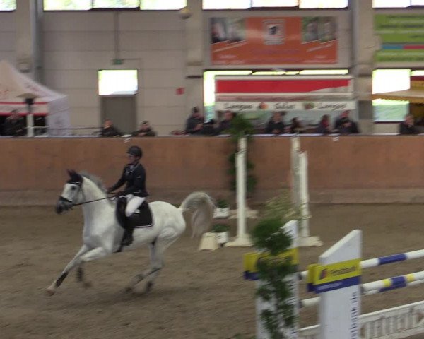 Reitturnier Prussendorf 2020
