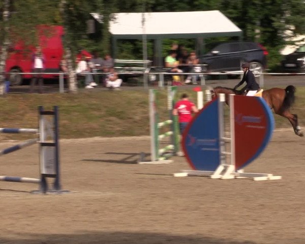Reitturnier Lgl.-Oberhain, B95 2021