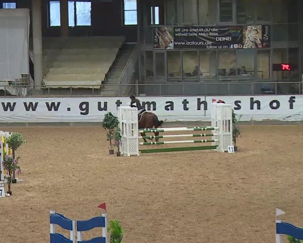 Reitturnier Kreuth/Opf. 2020