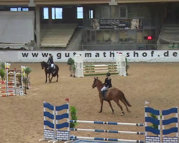 Reitturnier Kreuth/Opf. 2020