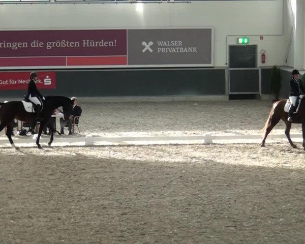 dressage horse Fleur de la Coeur 2 (Hanoverian, 2008, from Fidertanz)